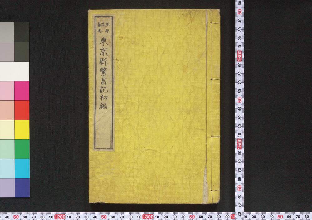 作品画像:東京新繁昌記