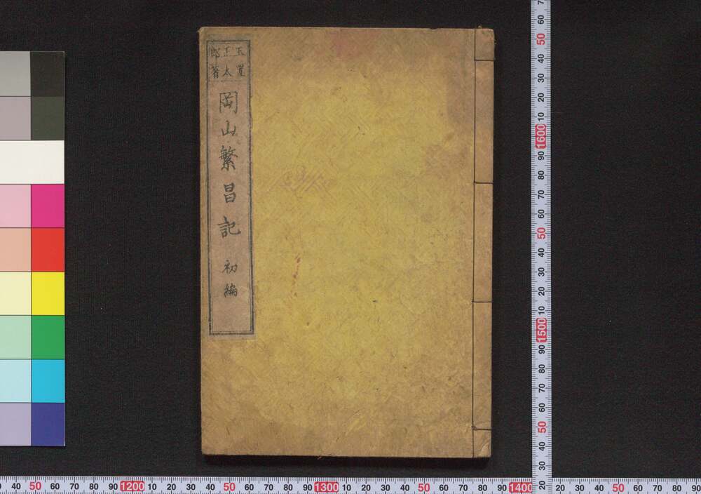 作品画像:岡山繁昌記 初編