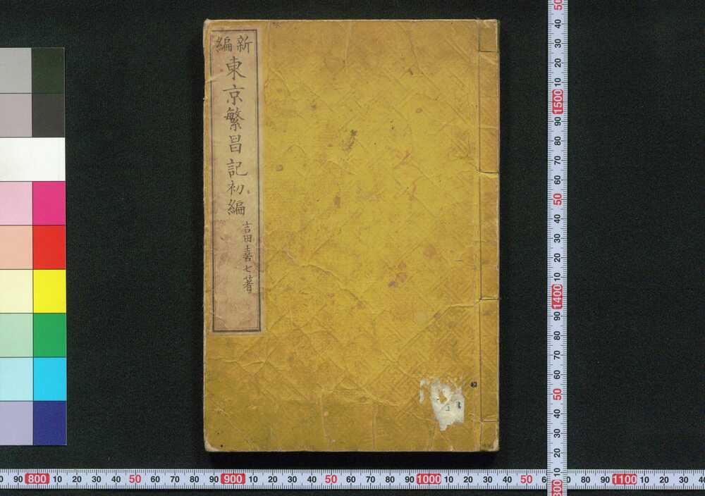 作品画像:新編 東京繁昌記 初編