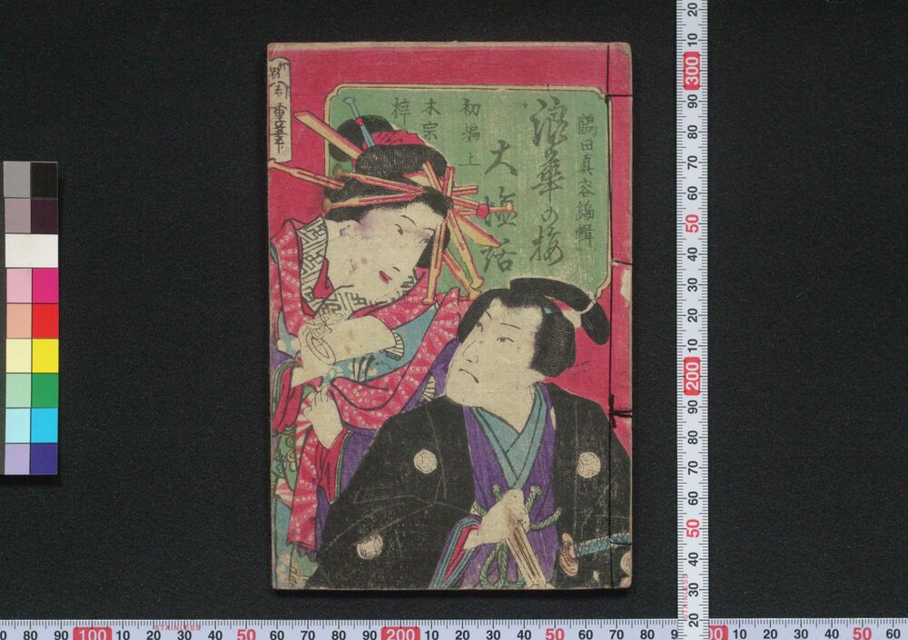作品画像:浪華の梅大塩話