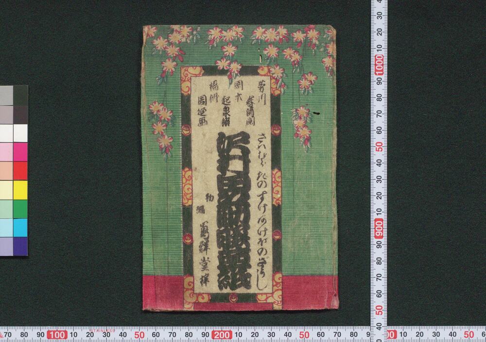 作品画像:沢村田之助曙草紙
