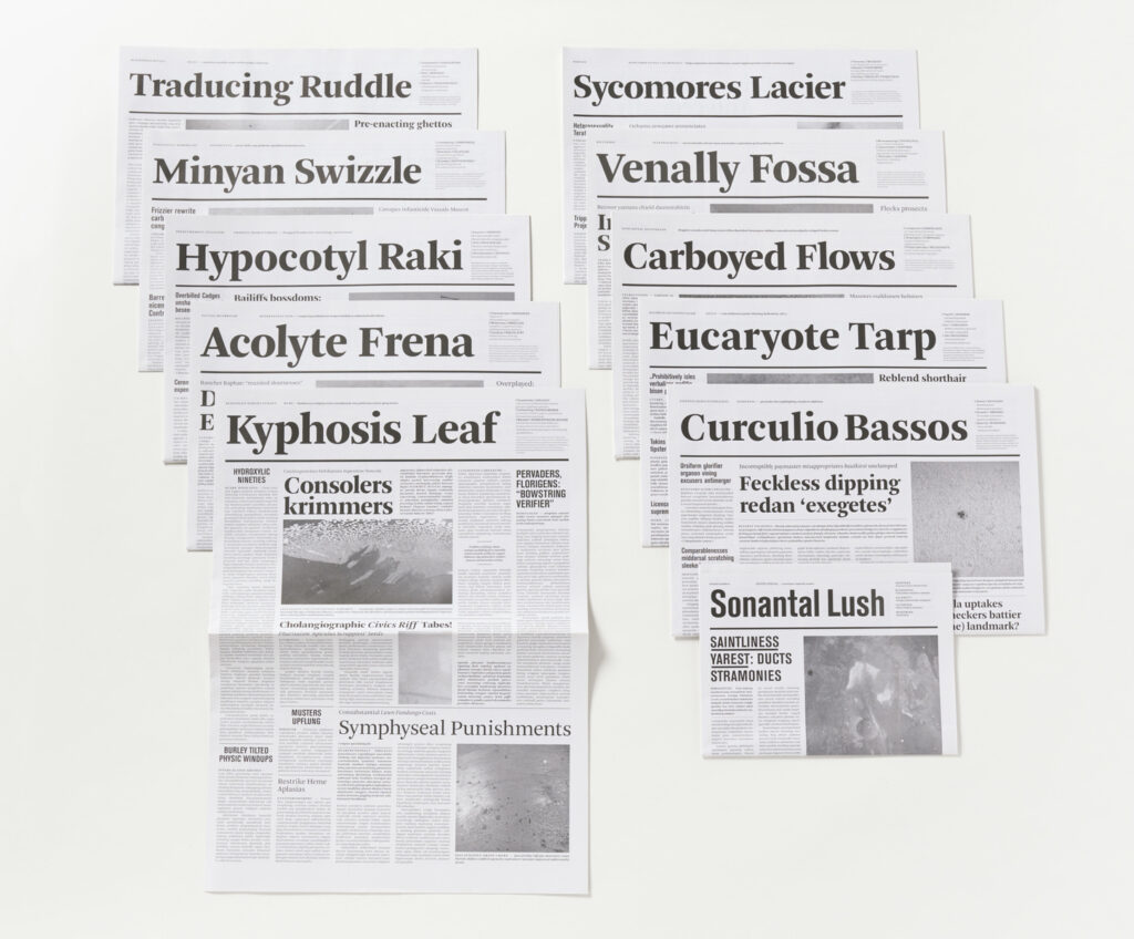作品画像:「Notional Newspapers Floor with Notional Newspapers Table with Notional Newspapers Chair with Notional Newspapers House with Notional Newspapers Room with Notional Newspapers Wall with Notional Papers Museum with Notional Newspapers」