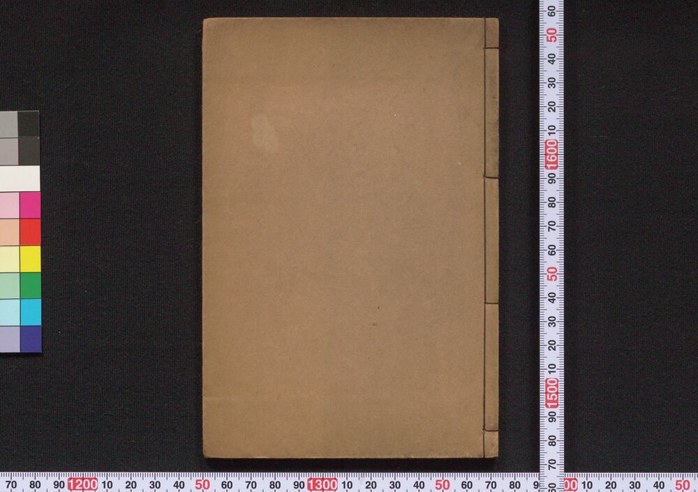 作品画像:大器械活動人形