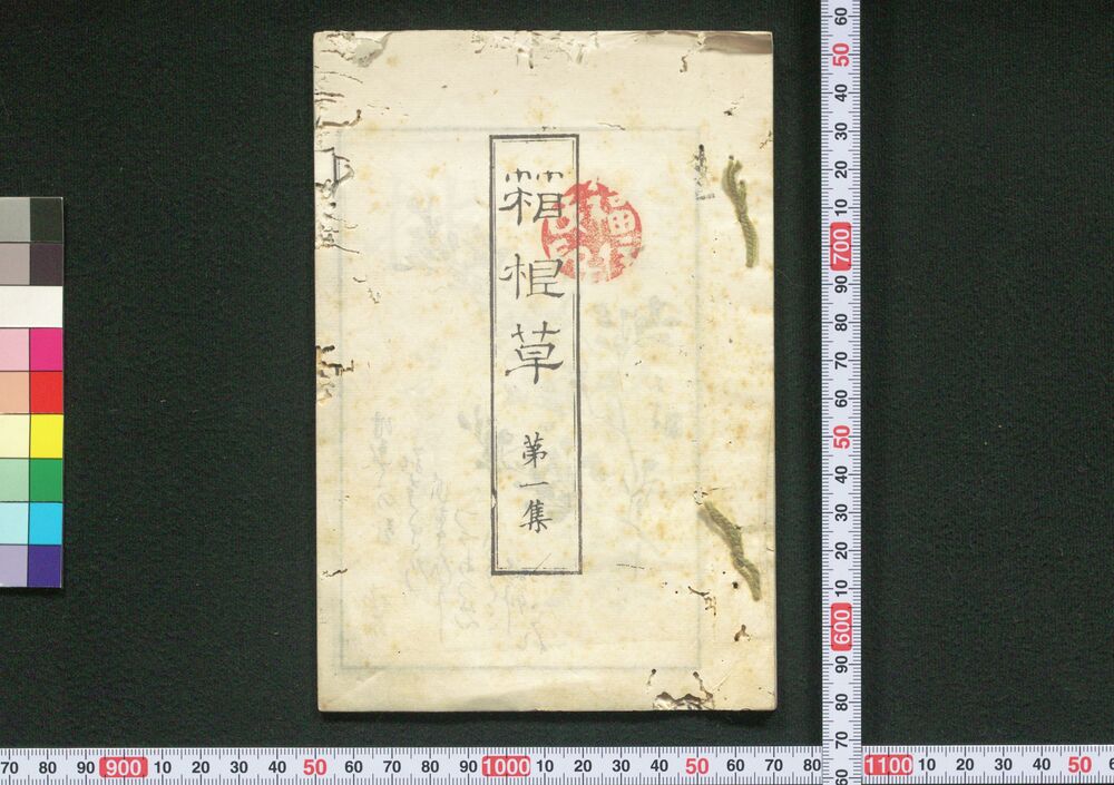 作品画像:箱根草