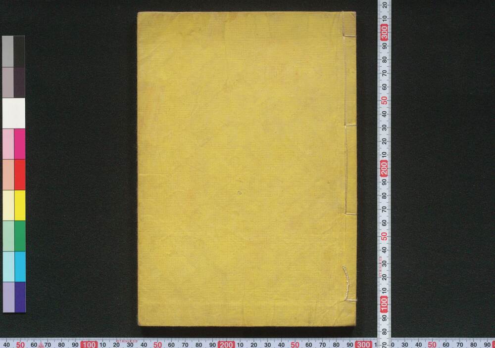 作品画像:新貨条例