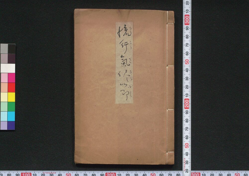作品画像:流行気儘節