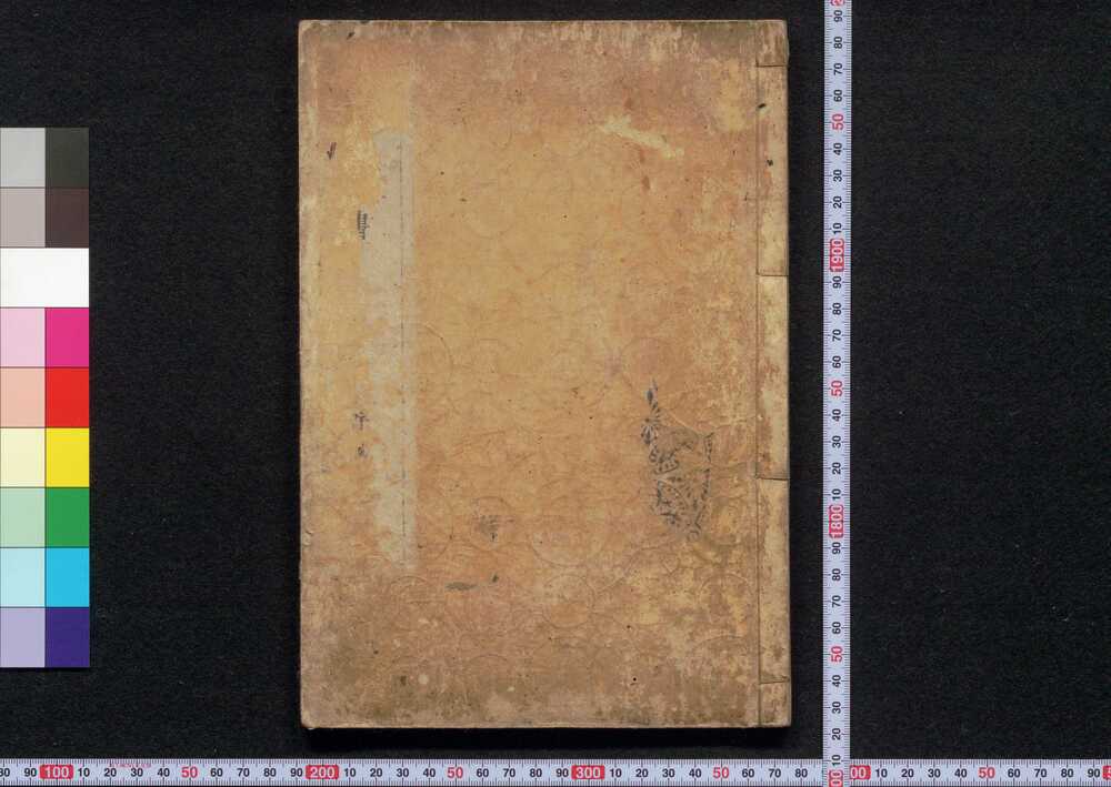 作品画像:解体新書