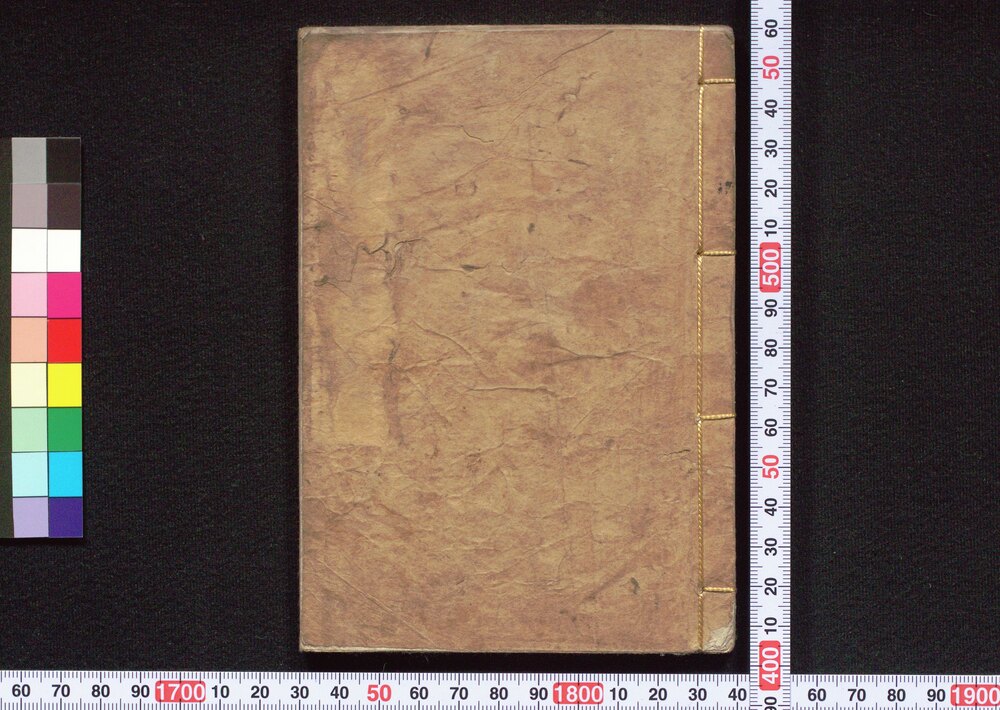 作品画像:客衆肝照子