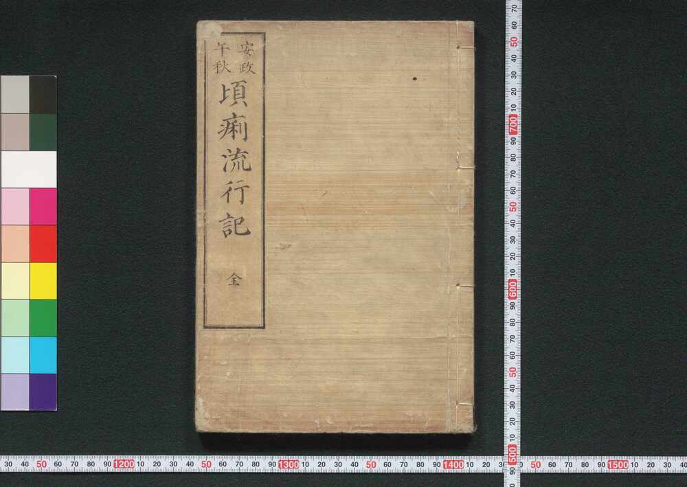 作品画像:安政午秋 頃痢流行記