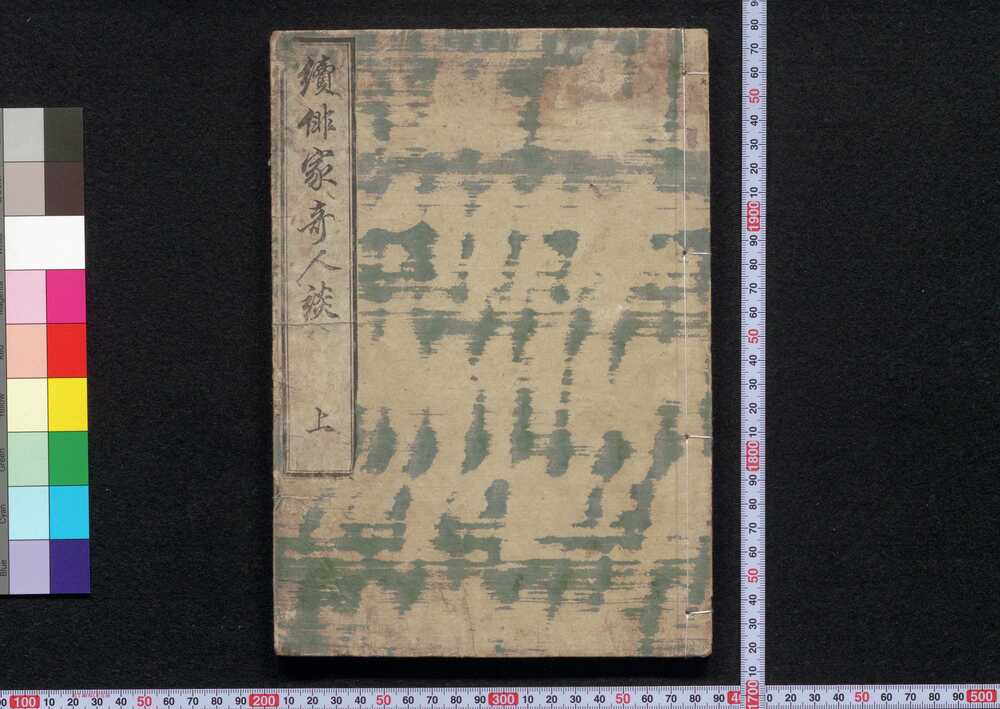 作品画像:続俳家奇人談
