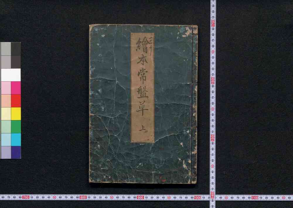 作品画像:絵本常盤草
