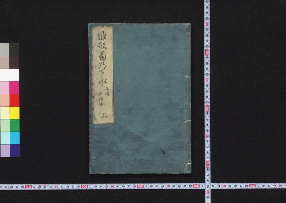 作品画像:雛形菊の下水 当流新模様