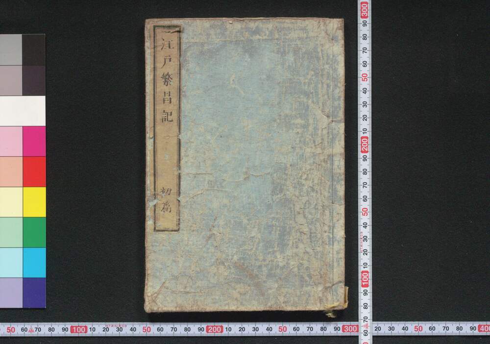 作品画像:江戸繁昌記