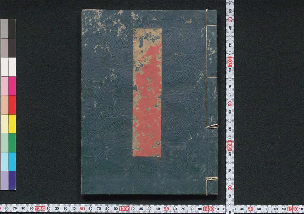 作品画像:虎狼痢神療書