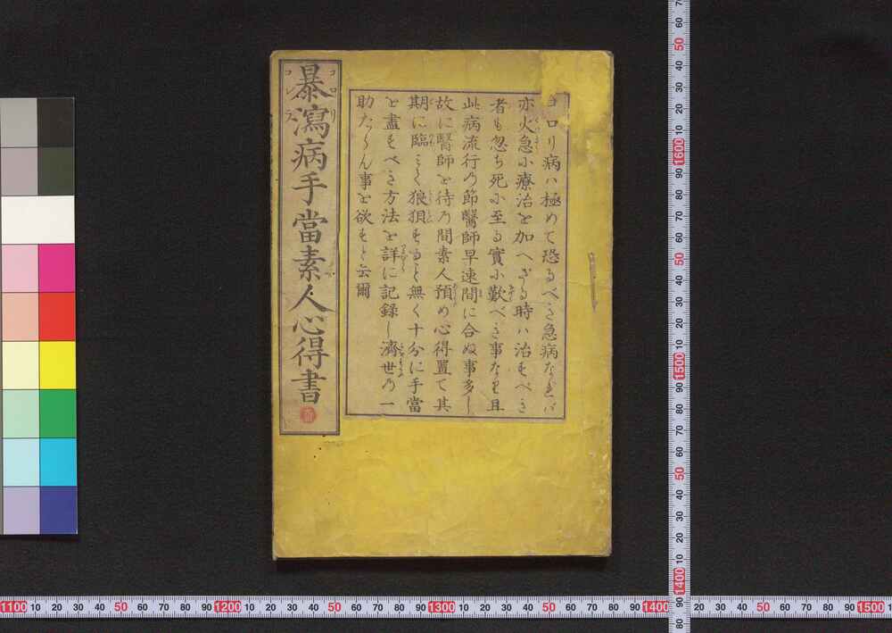 作品画像:暴瀉病手当素人心得書