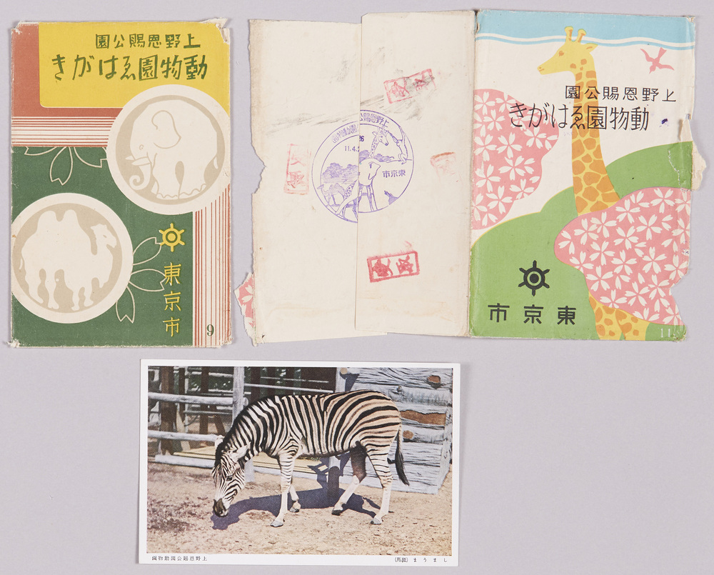 作品画像:上野恩賜公園動物園ゑはがき