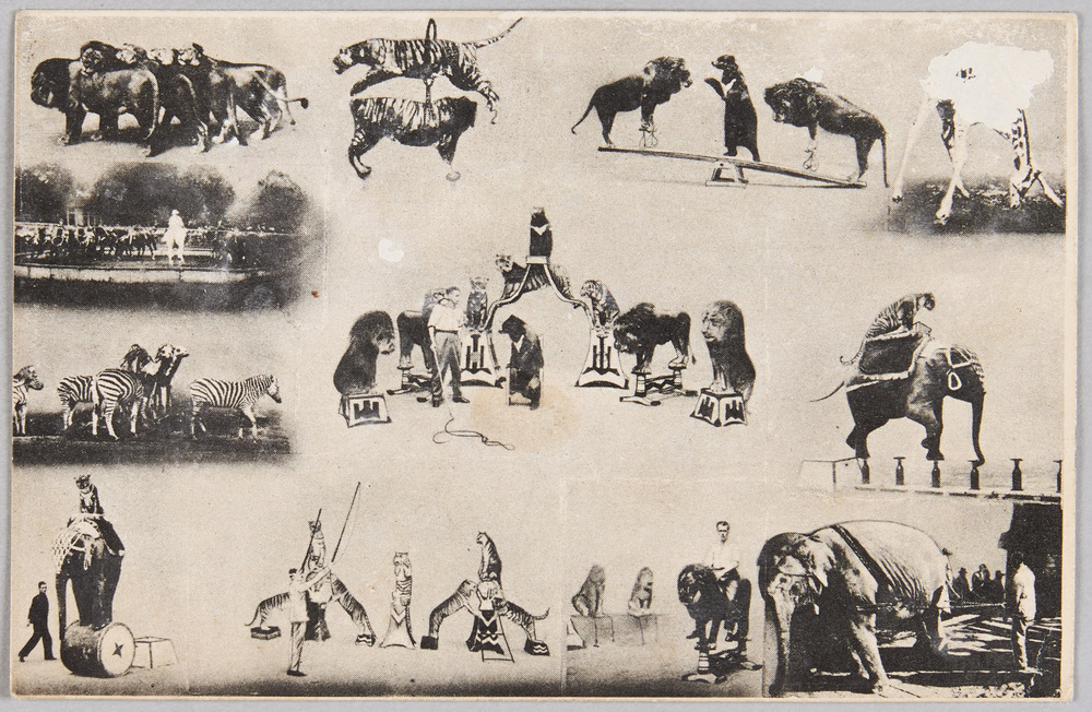 作品画像:万国婦人子供博覧会 獨逸ハーゲンベック動物園・世界最大の猛獣大サーカス団実景