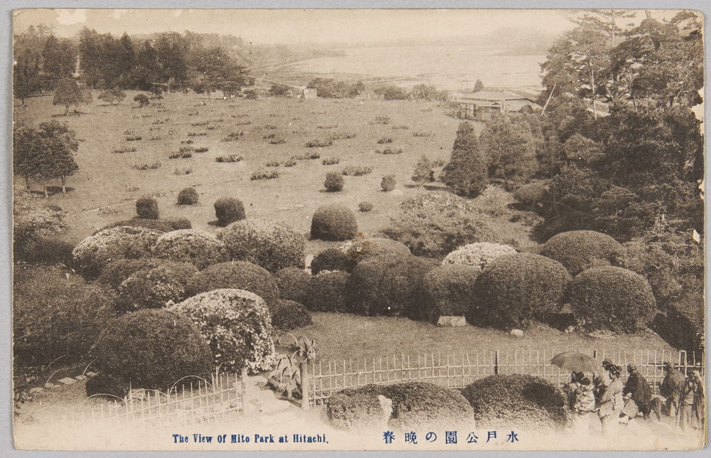 作品画像:水戸公園の晩春