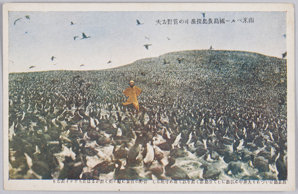 作品画像:南米ペルー国鳥糞島探検中の菅野力夫