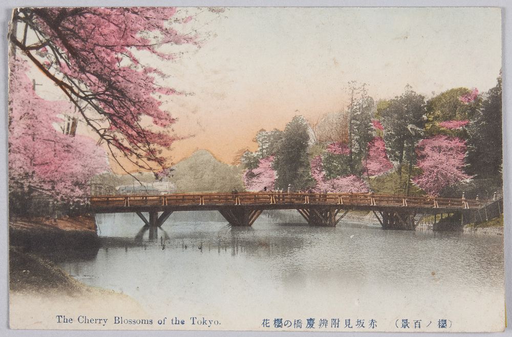 作品画像:桜ノ百景