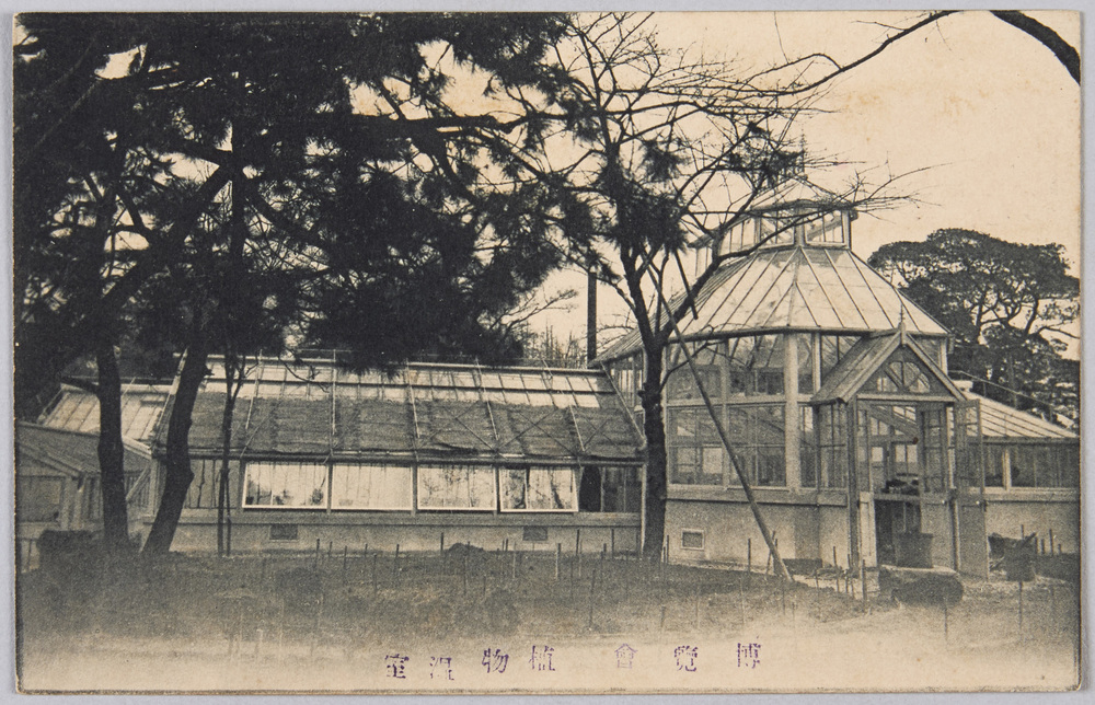 作品画像:東京勧業博覧会 植物温室