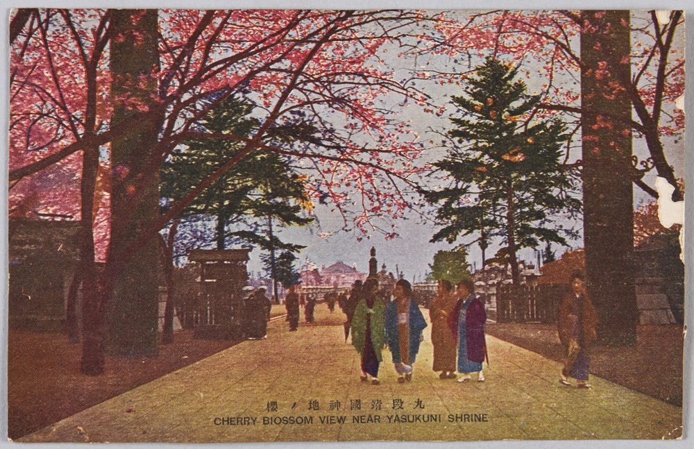 作品画像:九段靖国神地ノ桜