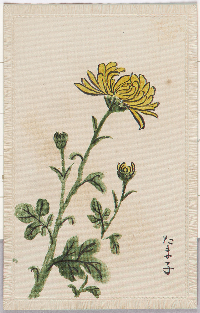 作品画像:絵葉書(杉浦たま子画)