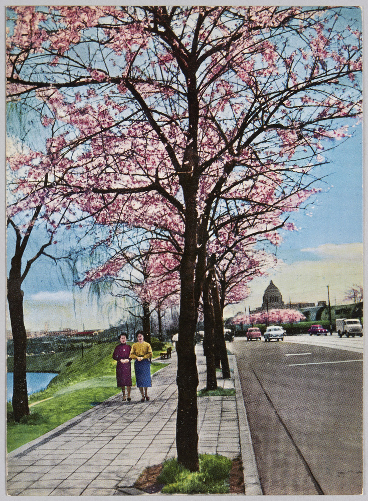 作品画像:最新四季の東京