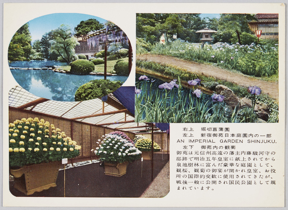作品画像:堀切菖蒲園 新宿御苑日本庭園の一部