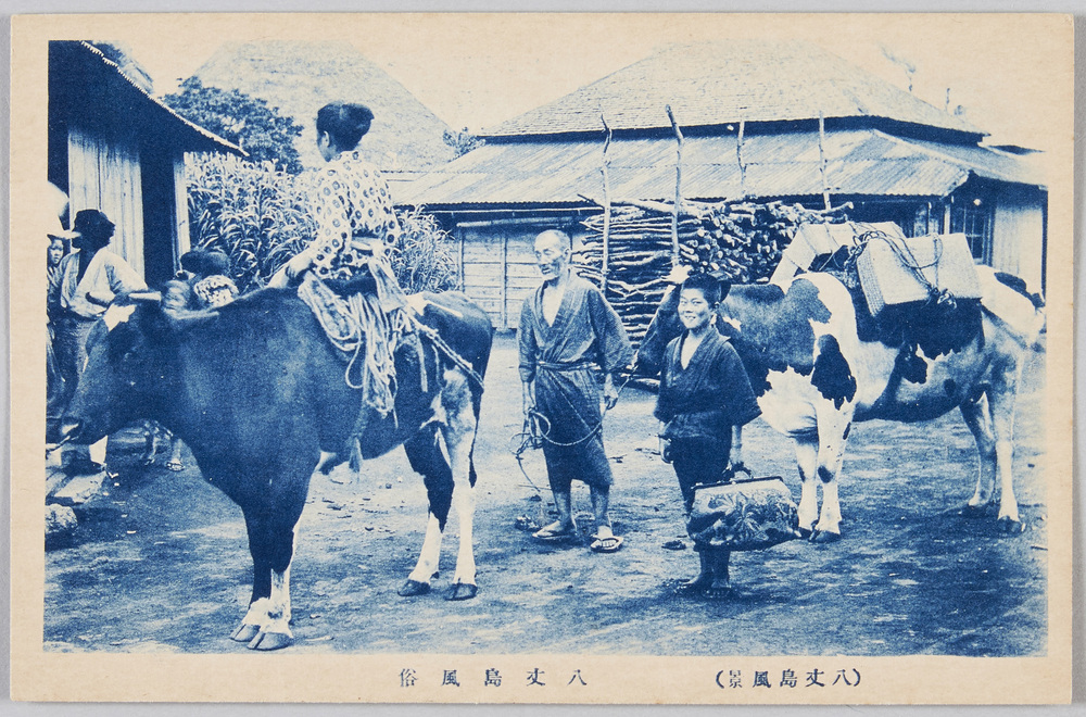 作品画像:八丈島風景