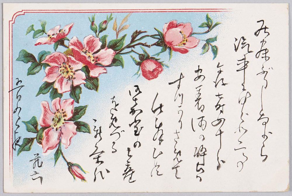 作品画像:植物 絵葉書 野ばら