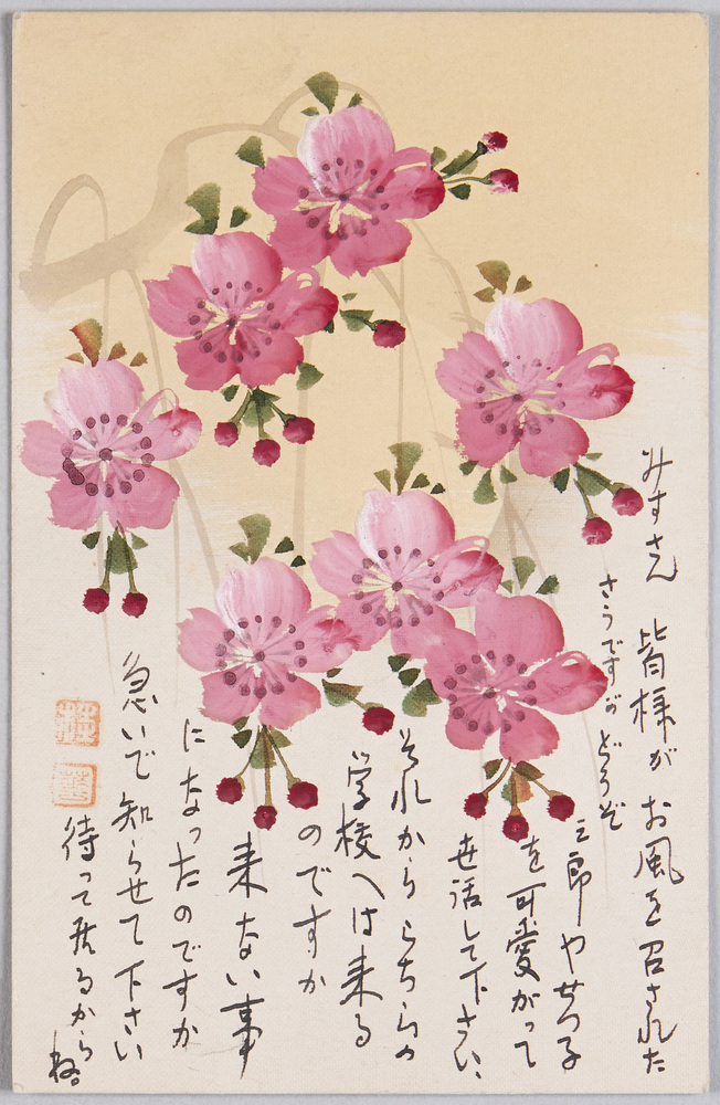 作品画像:植物 絵葉書 桜花