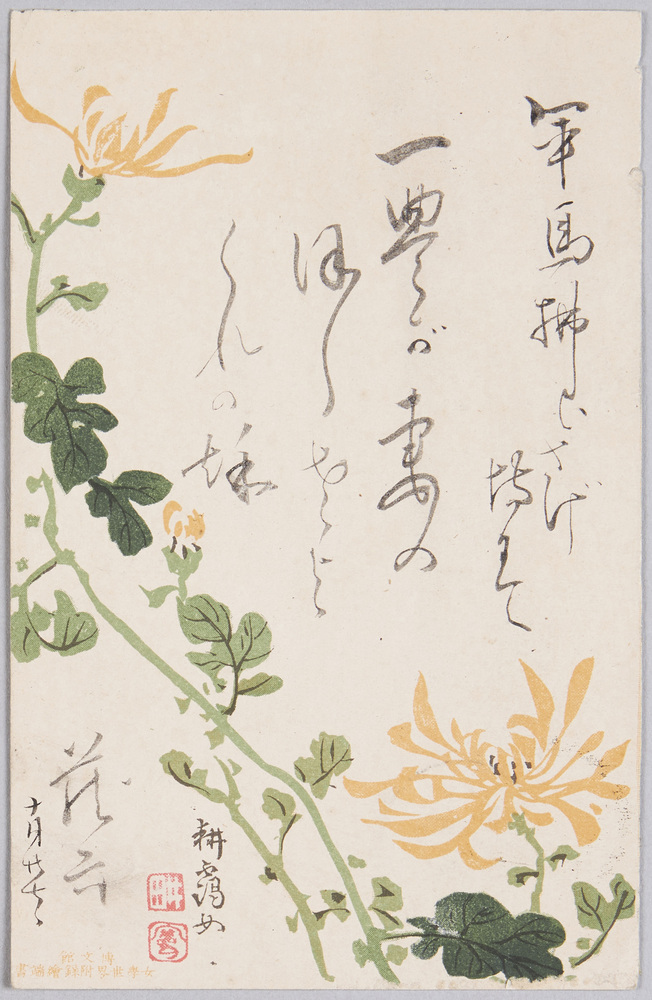 作品画像:植物 絵葉書 博文館 女学世界附録絵端書