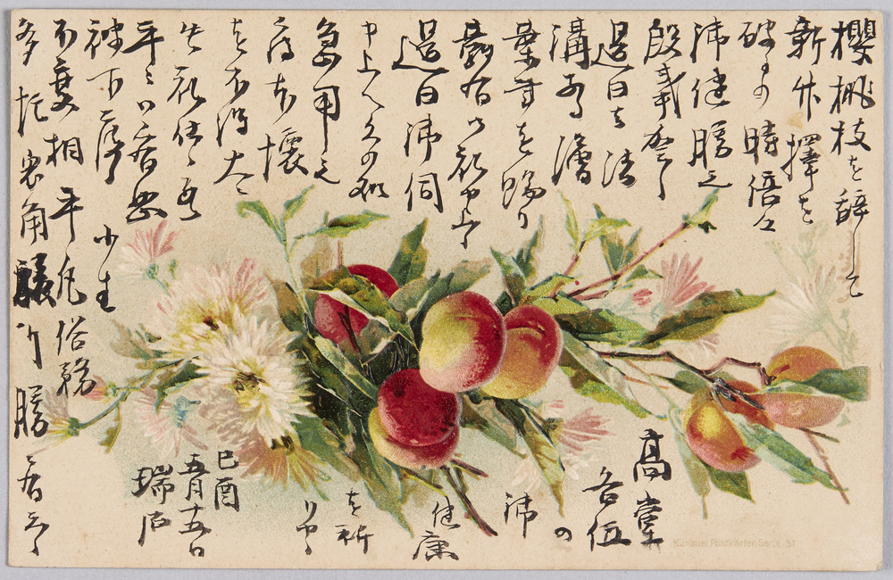 作品画像:植物 絵葉書 桃、林檎、小菊