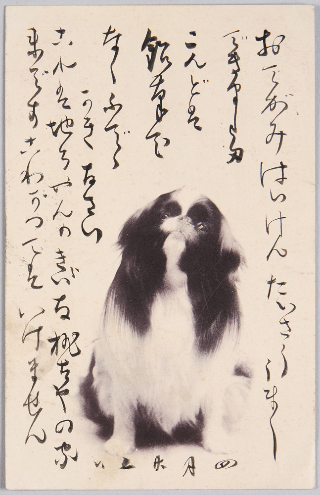 作品画像:動物絵葉書 小犬(狆)