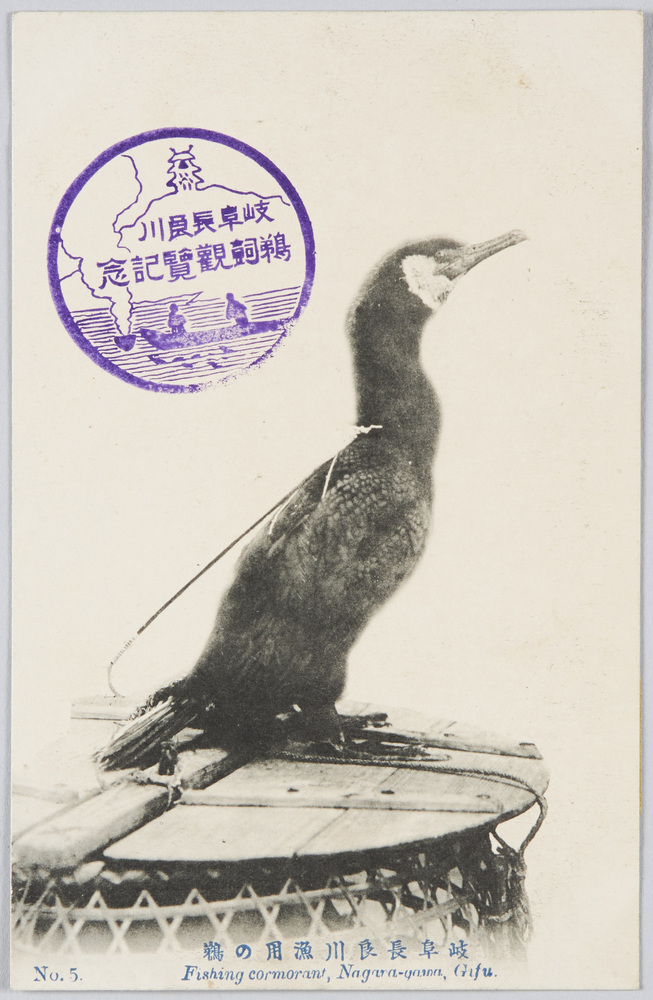 作品画像:岐阜長良川の鵜飼