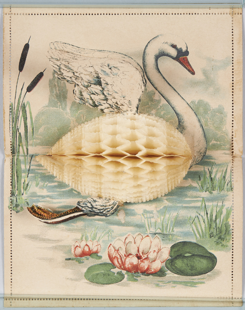 作品画像:飛び立つ白鳥(仕掛け絵葉書、外国製)