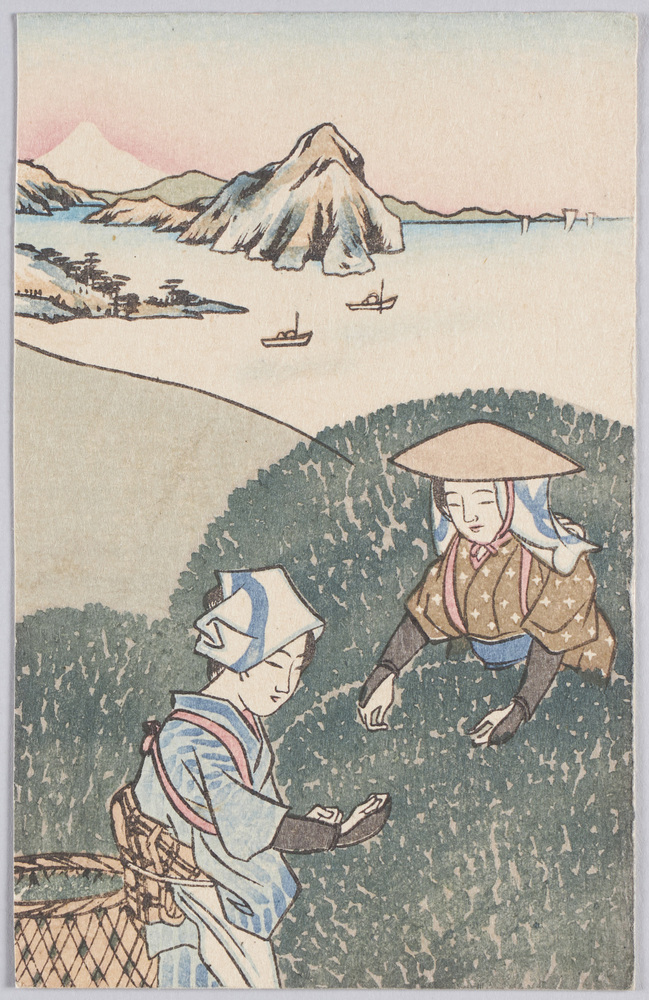 作品画像:牧野原茶園