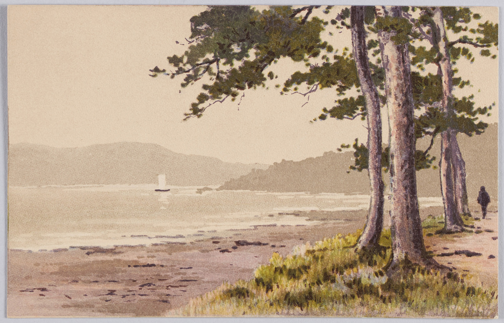 作品画像:入り江の松(風景水彩画)