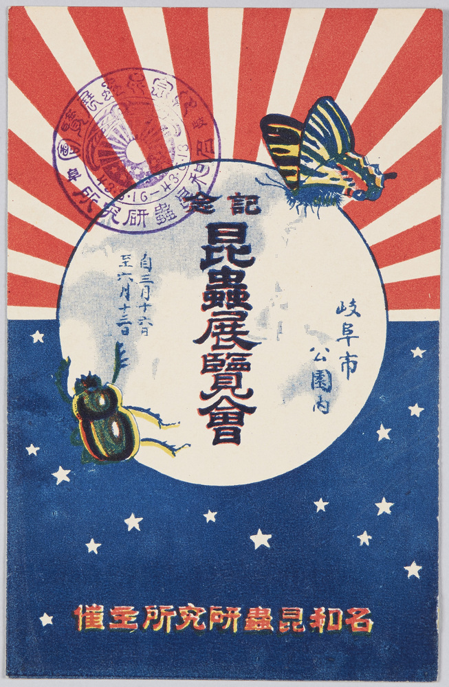 作品画像:記念昆虫展覧会