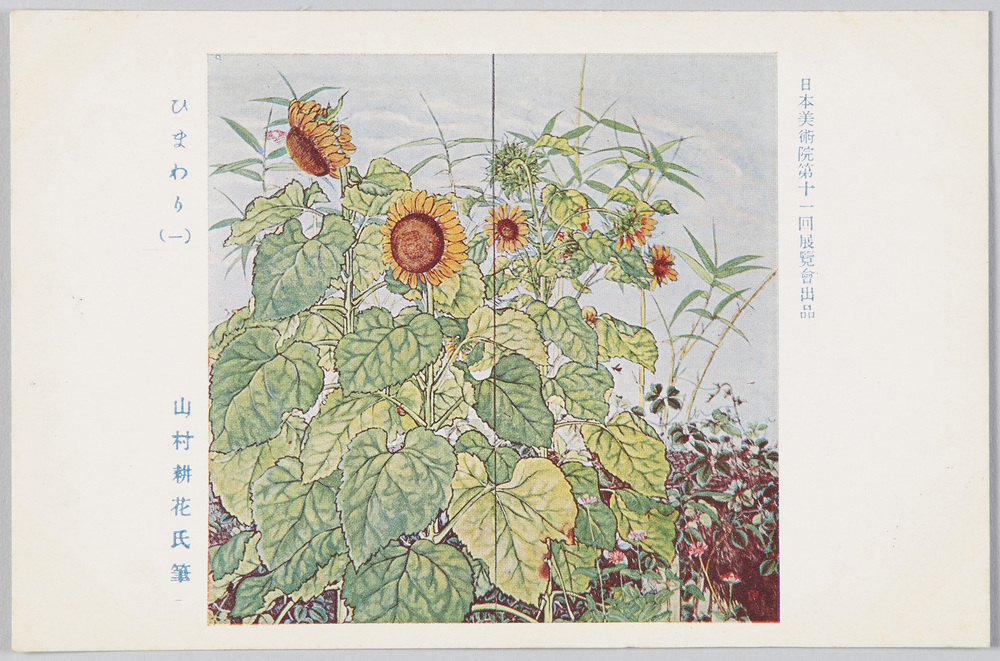 作品画像:日本美術院第十一回展覧会出品 ひまわり(一) 山村耕花氏筆