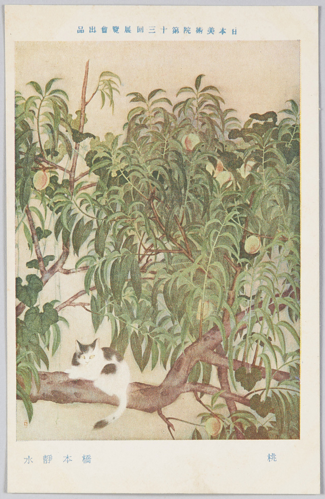 作品画像:日本美術院第十三回展覧会出品 「桃」 橋本静水