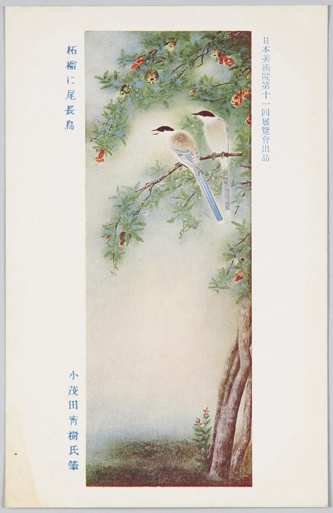 作品画像:日本美術院第十一回展覧会出品 「柘榴に尾長鳥」 小茂田青樹氏筆