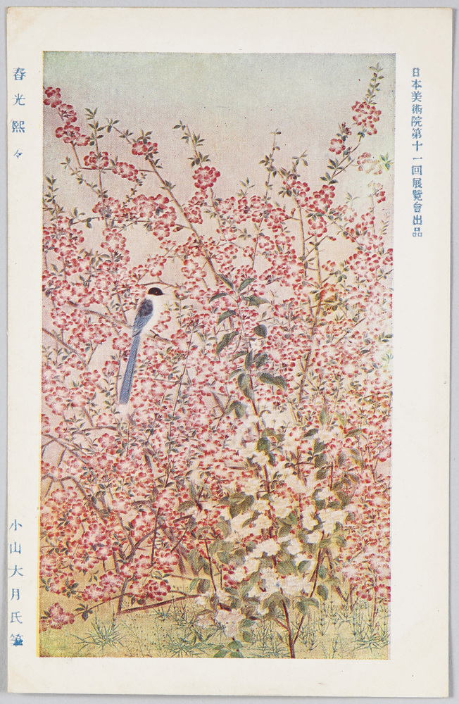 作品画像:日本美術院第十一回展覧会出品 「春光煕々」 小山大月氏筆