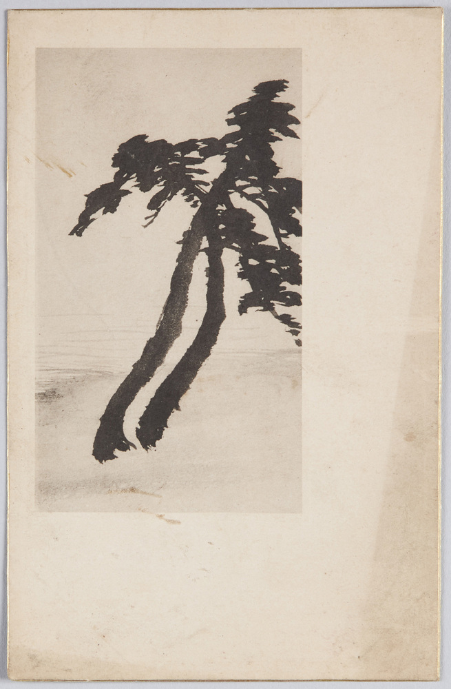 作品画像:海辺の松(水墨画)
