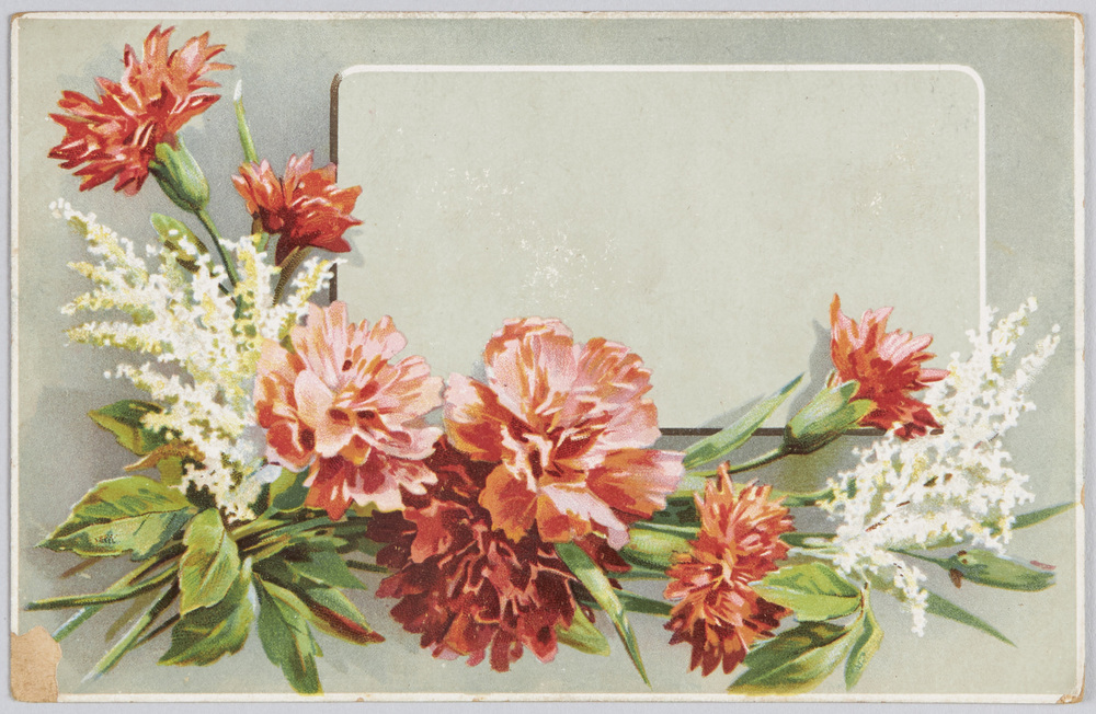 作品画像:カーネーションの花束(外国製)