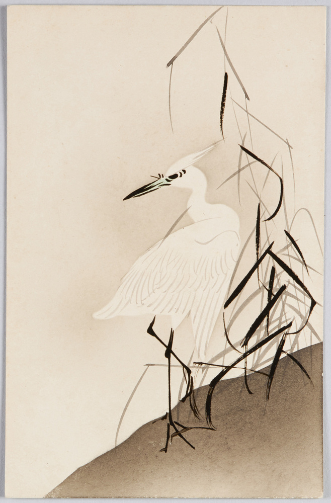 作品画像:白鷺
