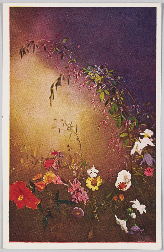 作品画像:夏の花