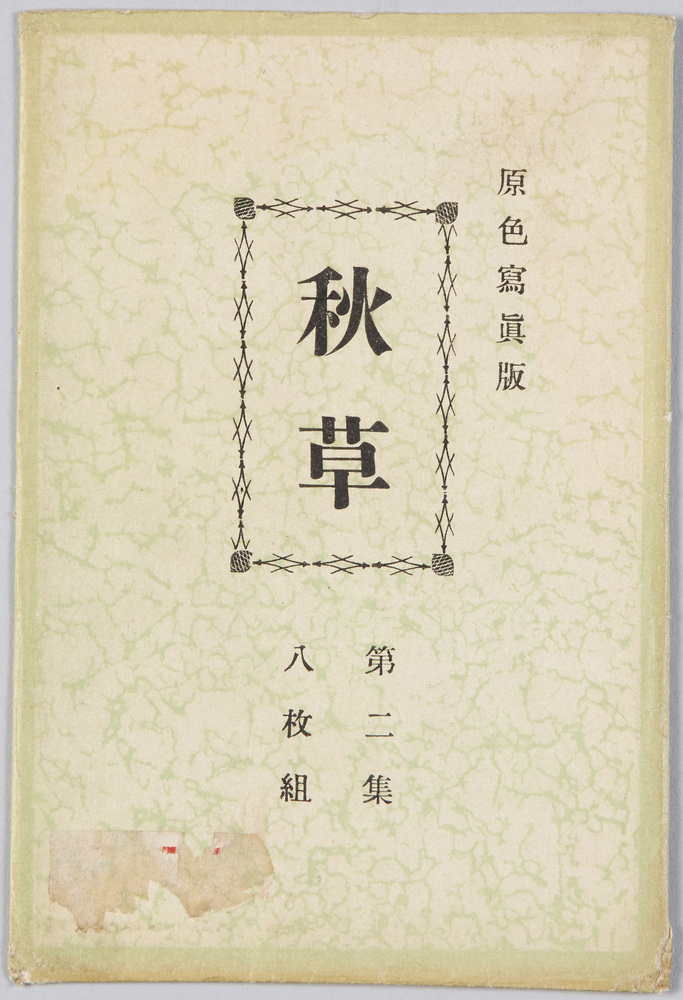 作品画像:絵葉書 秋草(原色写真版)第二集八枚組