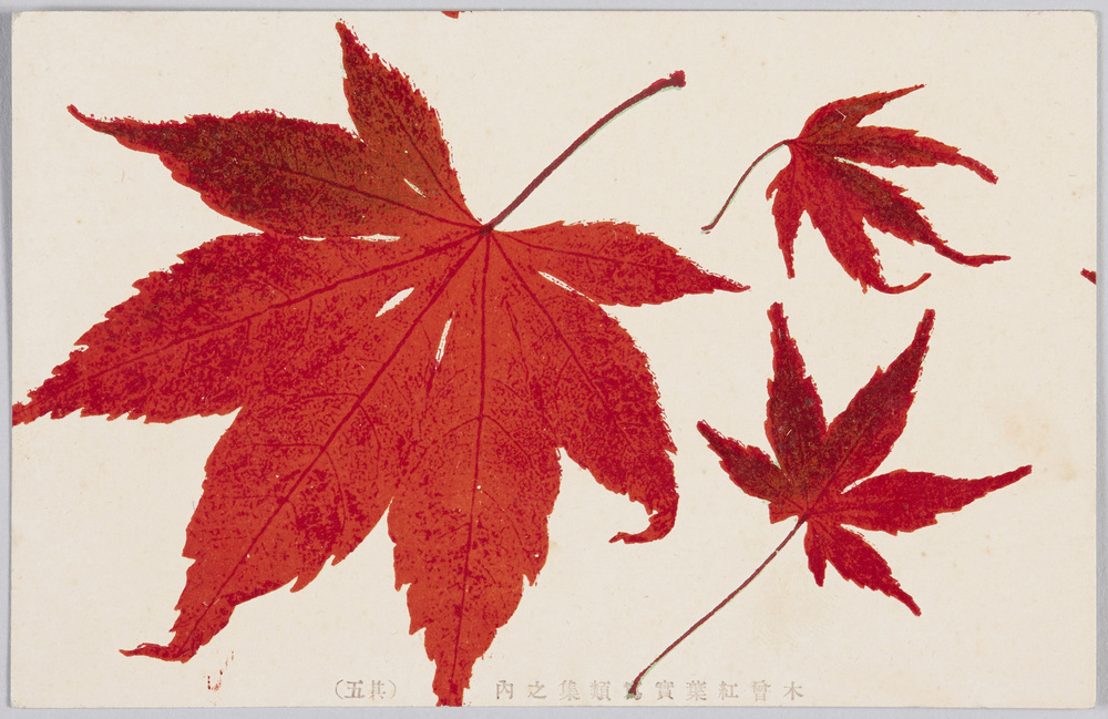 作品画像:木曽紅葉実写類集之内(其五)